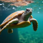 La tortue aquatique : un voyage au cœur de ses traits, milieux de vie, régime alimentaire et diversité des espèces