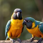 Oiseaux de compagnie : plongez dans leur univers pour un accueil réussi