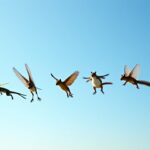 Les 5 animaux fascinants capables de s'envoler sans ailes