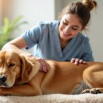 Le spécialiste du bien-être animal : plongez dans l'univers du massage animalier