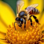 Le secret sucré : comment les abeilles transforment le nectar en miel